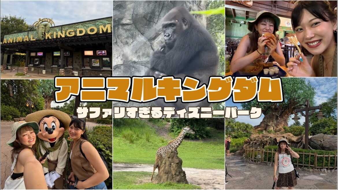WDW vlog๐บ๐ธ๏ฝๅ็ฉๅใฟใใใชใใฃใบใใผ๐๐
๐ฆ