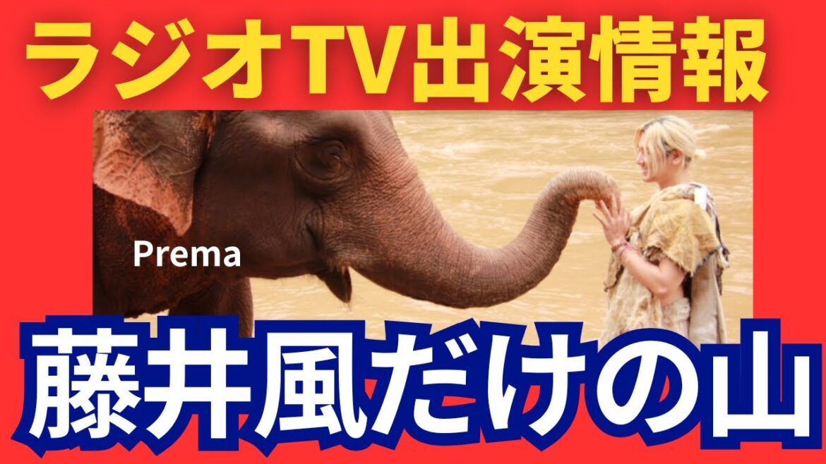 本日テレビ、ラジオで風さんが!【前代未聞の挑戦】藤井風だけの山からの景色とは??胸熱記事のご紹介です。
