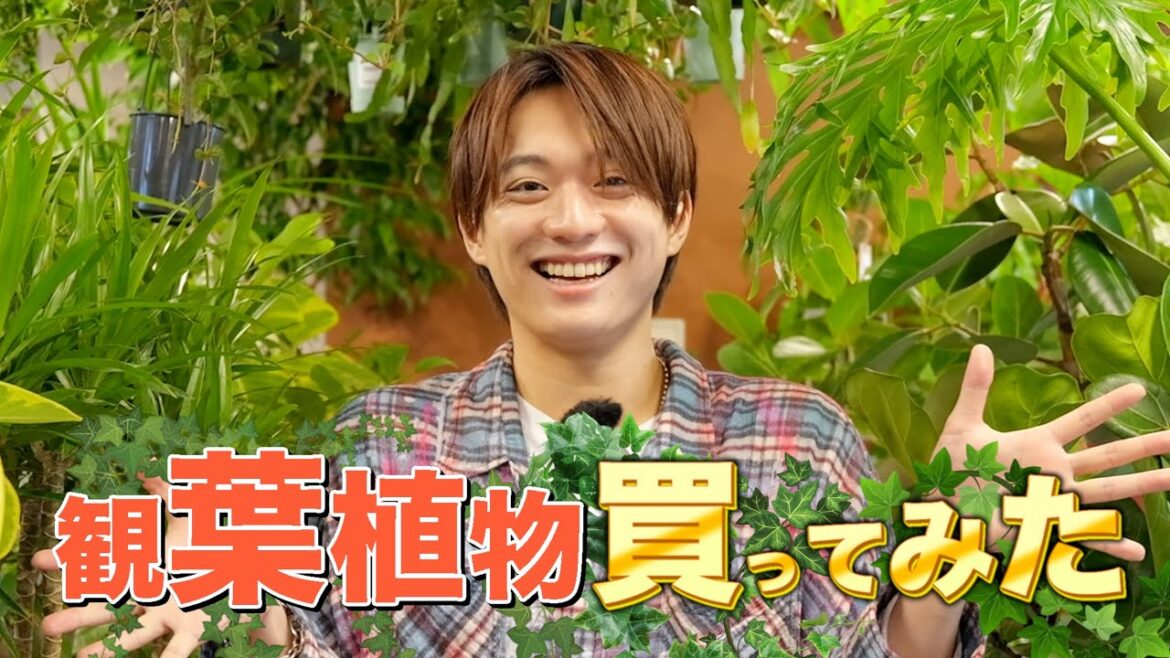 福本大晴【観葉植物】買ってみた!