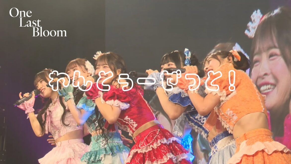 【LIVE映像】One Last Bloom 『わんとぅーぜっと!』1stワンマン・清水里香生誕📍harevutai