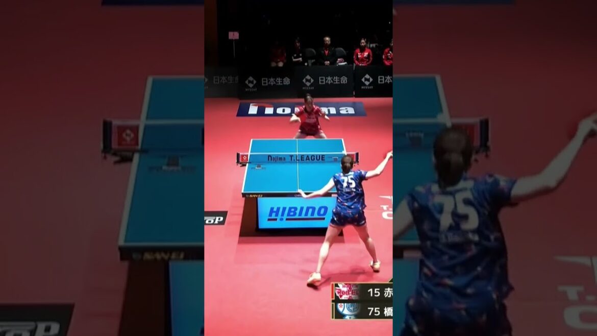 #橋本帆乃香 照井雄太が選ぶスーパープレー「もの凄いラリー!!」日本生命レッドエルフ vs 日本ペイントマレッツ ノジマTリーグ2024-2025 3月9日(日) 立命館IFP【卓球 Tリーグ公式】