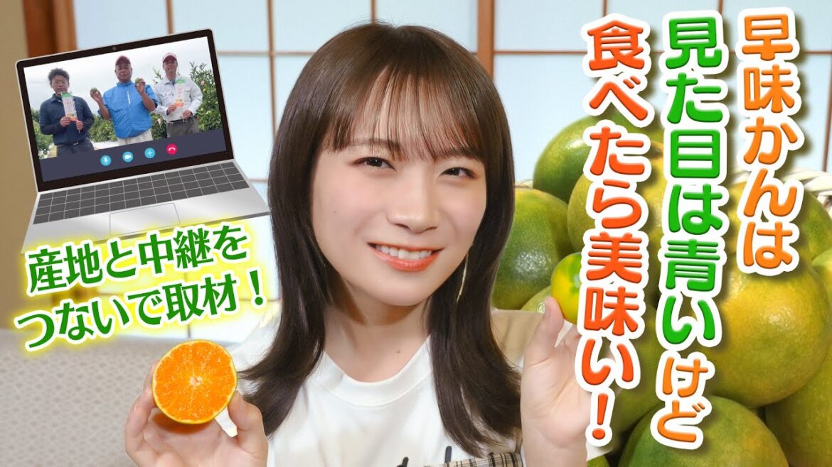 見た目は青いが、食べたら美味い!?秋元真夏が福岡オリジナル品種「早味かん」を取材!