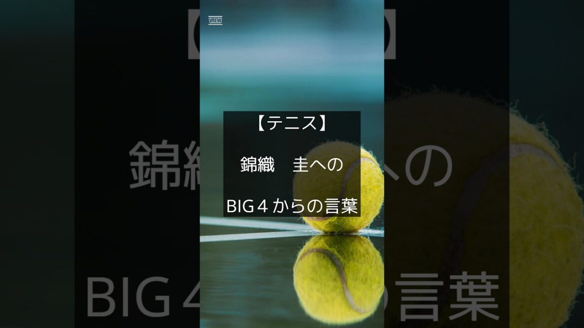 【テニス】錦織 圭選手へのBIG4と呼ばれた名選手達からの言葉 #shorts #名言 #錦織圭 #テニス #keinishikori