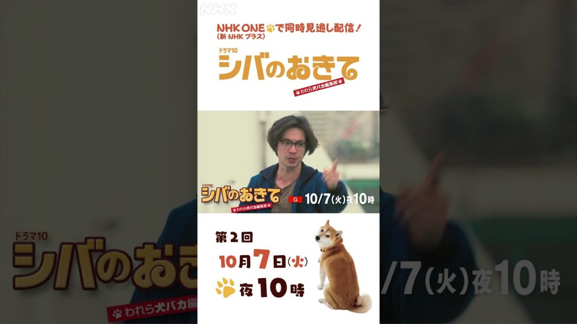【ドラマ10 シバのおきて】大東駿介 飯豊まりえ 第2回 15秒PR | NHK | #shorts