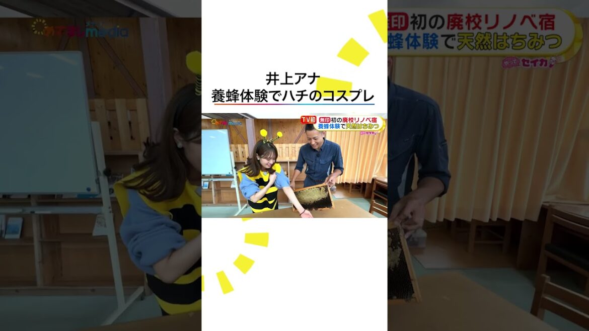 本編こちら👆#井上清華 アナウンサー 養蜂体験に初挑戦 #めざましテレビ #やってセイカ! #shorts