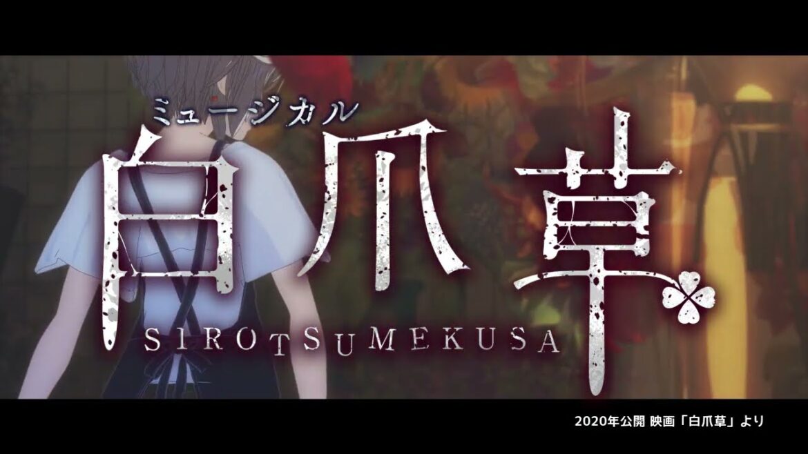 【2026年1月上演】新作ミュージカル『白爪草』PV