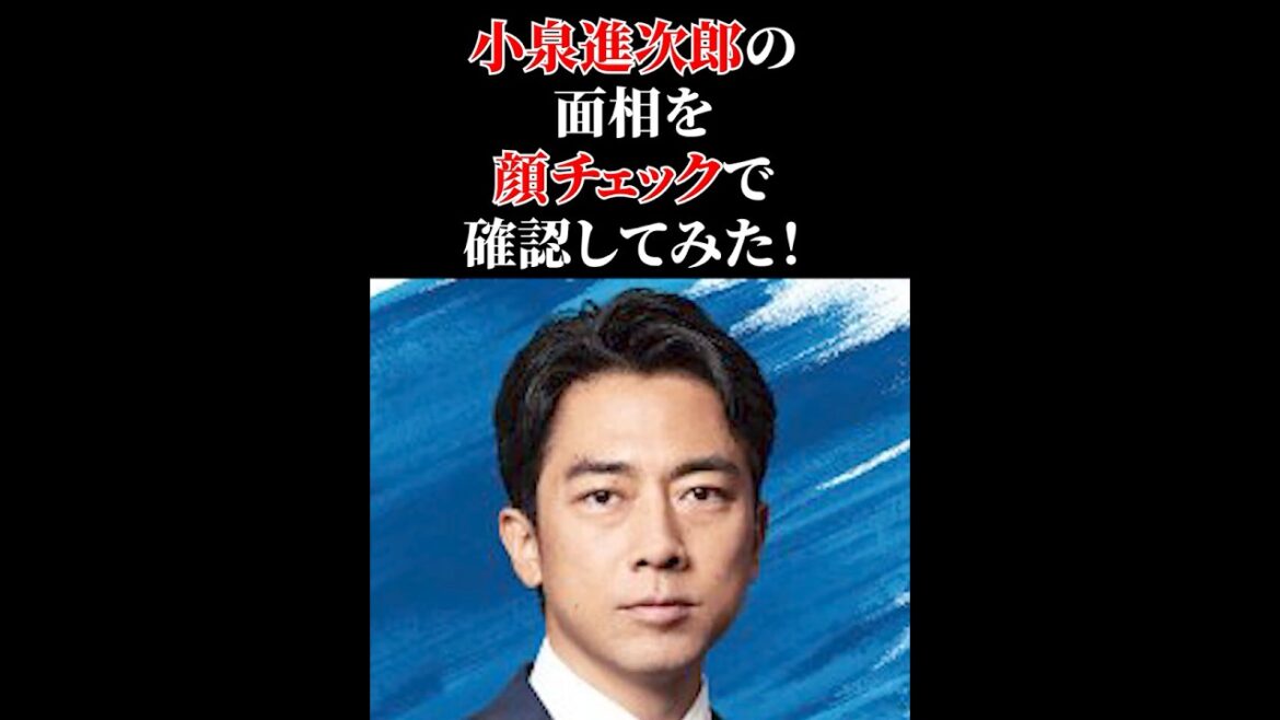 ちょこっと!観相学 ~小泉進次郎~ #観相学 #顔チェック