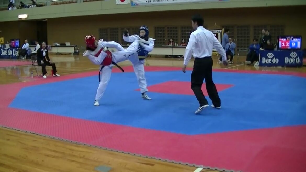 山口千怜 空手vsテコンドー 西日本大会