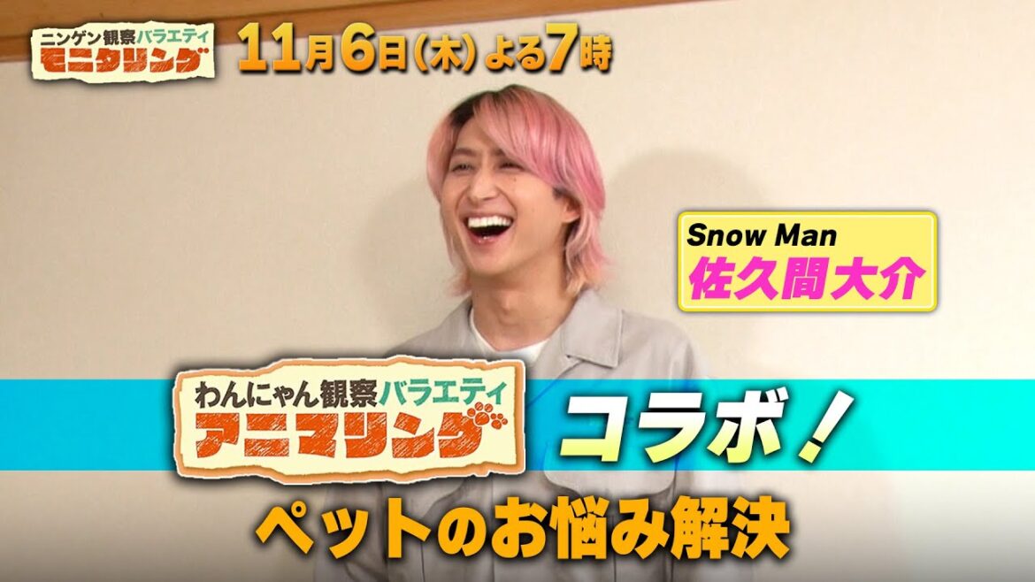 【アニマリングコラボ】Snow Man 佐久間大介がペットのお悩み解決!!『モニタリング』11/6(木)【TBS】