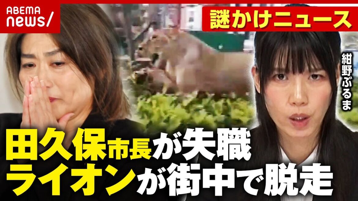 【紺野ぶるま】謎かけニュース「田久保市長が失職」「進次郎スカジャン贈呈」「中国でライオンが脱走」|ABEMA的ニュースショー