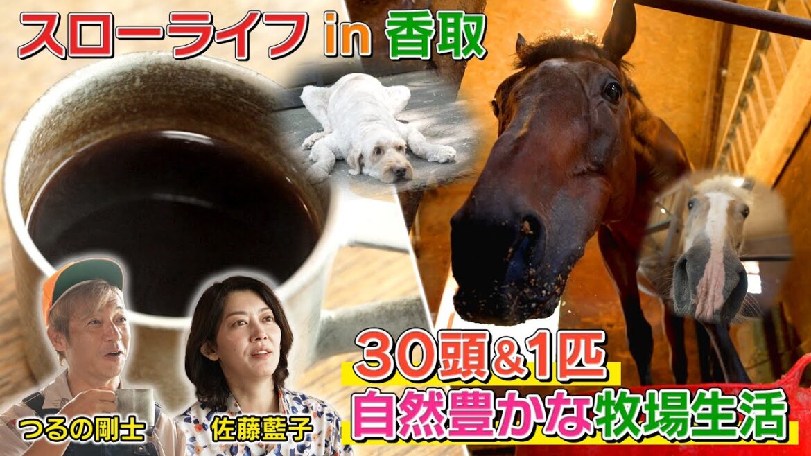 プレゼント企画実施中!応募は11/30(日)まで!テレ朝【アクティブスローライフのススメ#3 Part1】佐藤藍子in千葉県香取市 #佐藤藍子 #スローライフ #千葉 #香取 #つるの #乗馬 #牧場