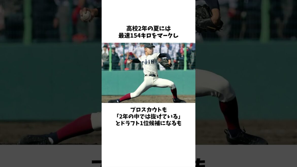 大阪桐蔭「幻のエース」の“今”に関する雑学 #野球 #高校野球 #プロ野球