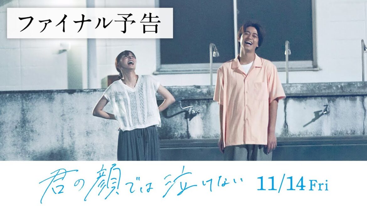11.14公開 映画『君の顔では泣けない』ファイナル予告
