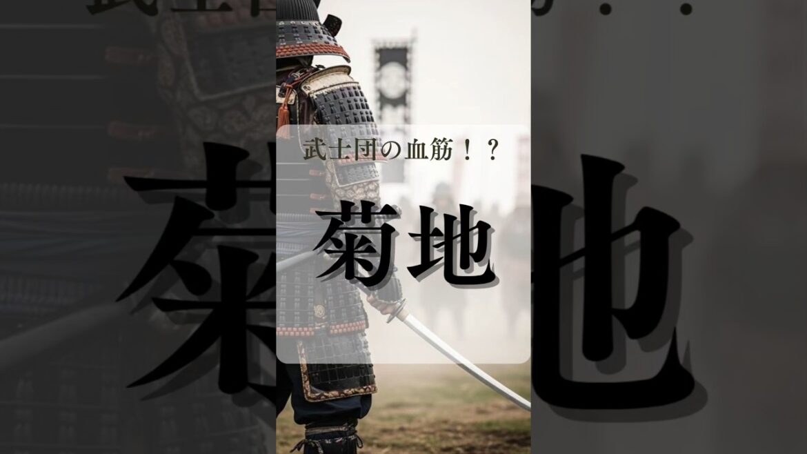 【菊地さん必見】名字のルーツは熊本の武士団「菊池氏」!