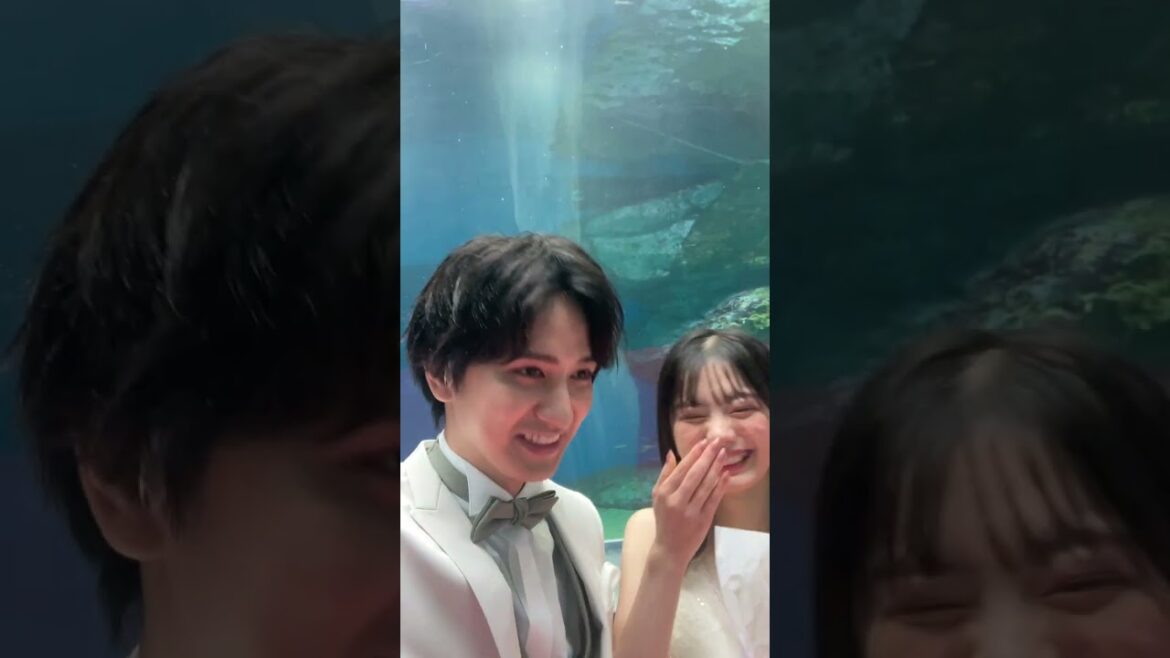 水族館プロポーズ後の2人がかわいすぎる💍❤️ #瀬戸利樹 #紺野彩夏 #わた婚 #私たち結婚しました