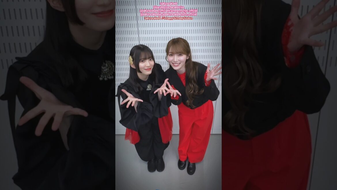 森田ひかる 守屋麗奈 櫻坂46 Unhappy birthday構文♪