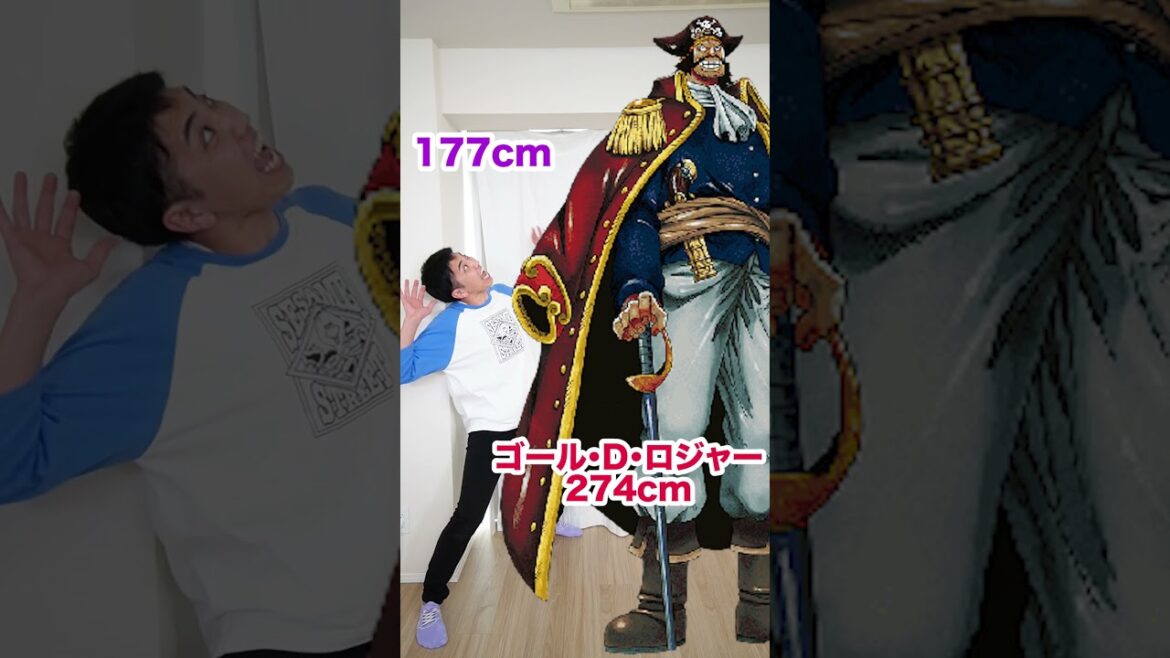 ワンピースのキャラと身長比べてみたwww funny video 😂😂😂 #shorts
