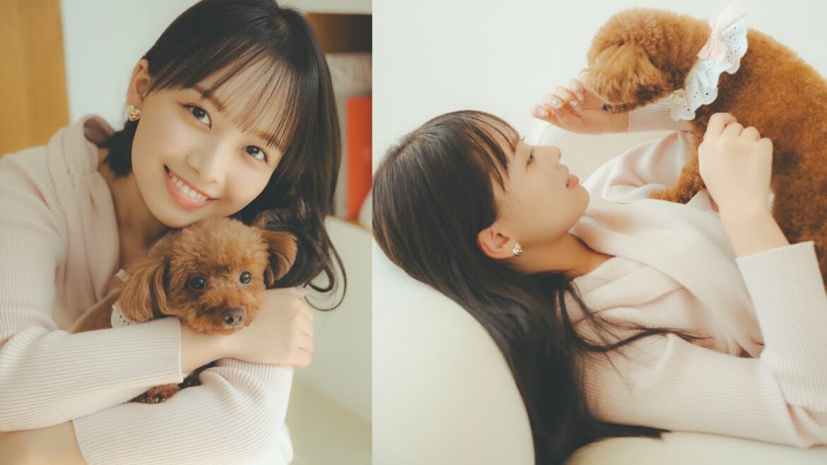 濱岸ひよりさんと愛犬るのんちゃんが遊びにきてくれました!(トイプードル|月刊わんこ撮影オフショット)