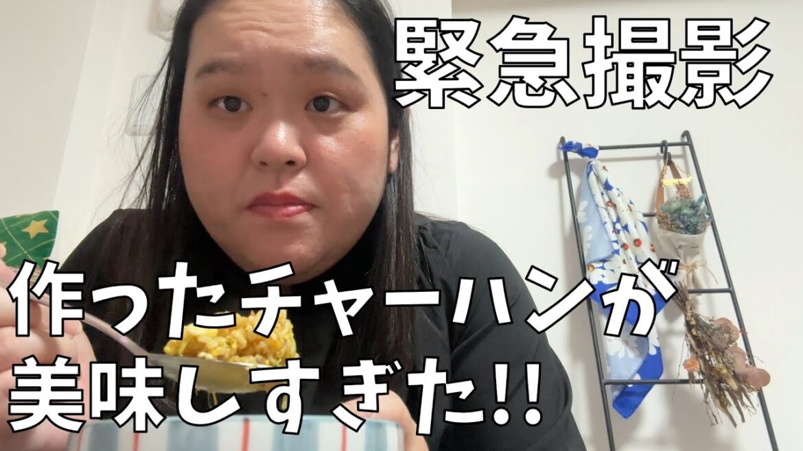 【緊急撮影】動画を撮るつもりなかったんだけど作ったチャーハンがあまりにも美味しくて動画をまわしたよ!【レシピつき】