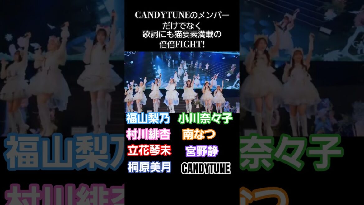 〖CANDY TUNE〗メンバーだけでなく、歌詞にも猫要素の倍倍FIGHT!