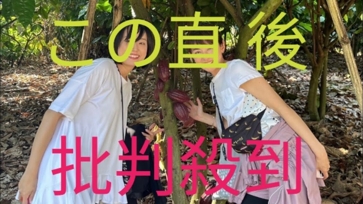 平井理央「タイのランパーンまでカカオ豆を視察」チョコレートで起業し奮闘した1年「低GIで乳酸菌約1000億個のチョコを」