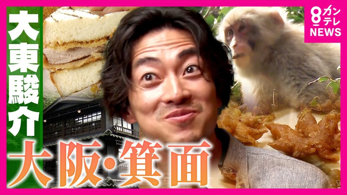 大阪・箕面名物「もみじの天ぷら」は道に落ちているモミジではなく専用の山で栽培していた 海外のシェフが喉から手が出るほど欲しい「箕面の幻のゆず」とは|大東駿介の発見!てくてく学〈カンテレNEWS〉