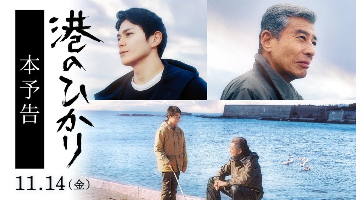 映画『港のひかり』本予告|11月14日(金)全国公開