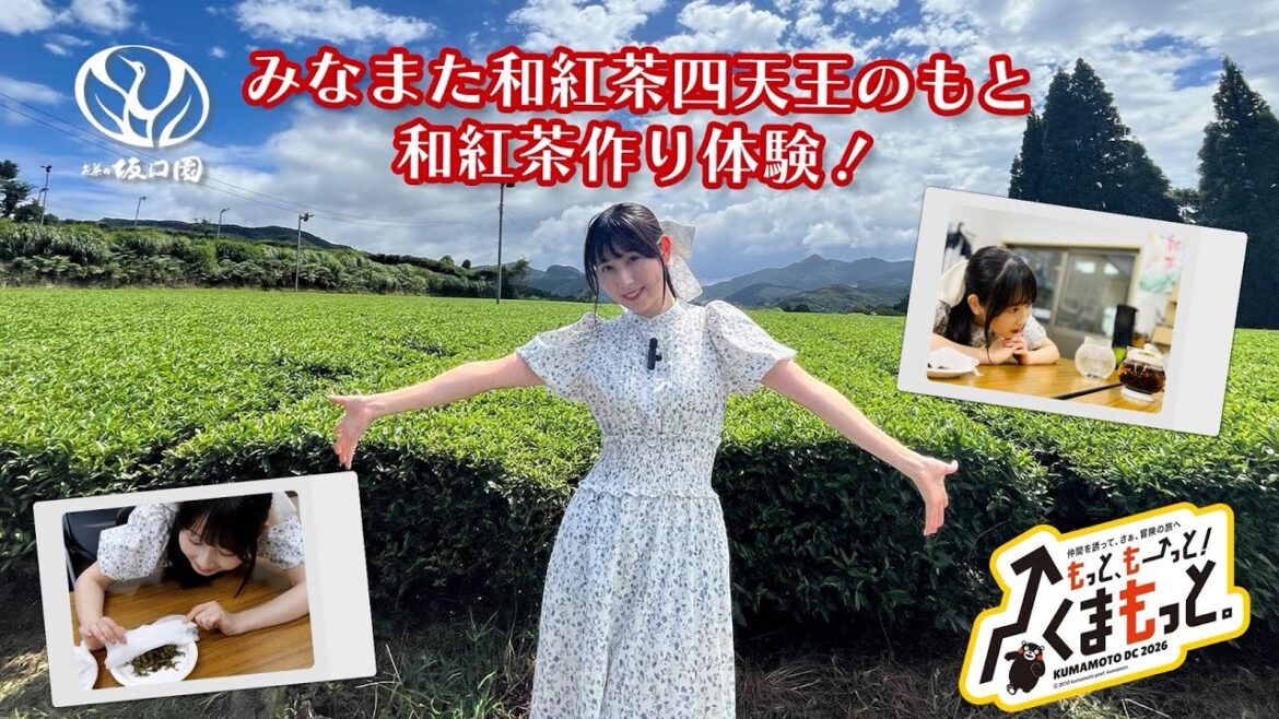 【SKE48・井上瑠夏の熊本観光ガイドへの道】和紅茶作り体験(水俣市)
