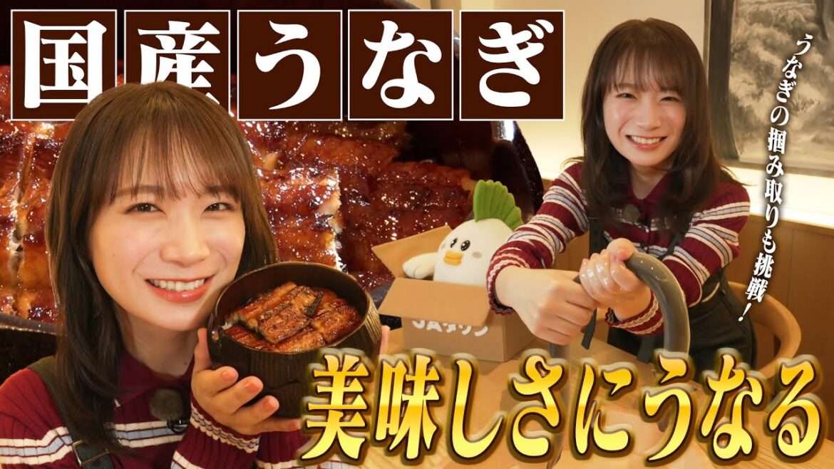 秋元真夏が国産うなぎの蒲焼専門店で極上のうな重を堪能しました!