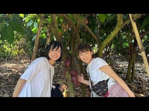 「平井理央、まさかの起業…!“罪悪感ゼロのチョコ”に込めた想いとは🍫✨」