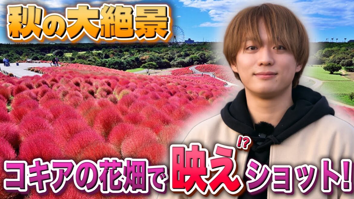 福本大晴【絶景茨城】ひたち海浜公園コキア畑で映えショットを探す!