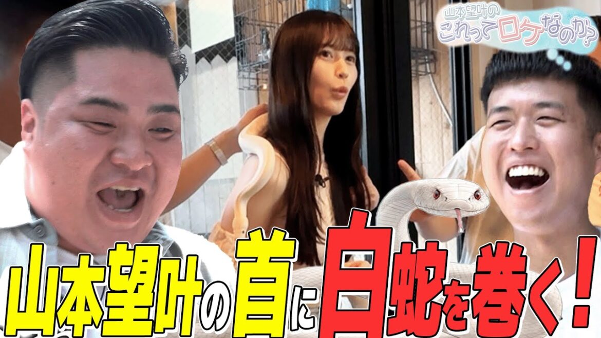 【山本望叶のこれってロケなのか?】初めてヘビを首に巻いてパニックになりました