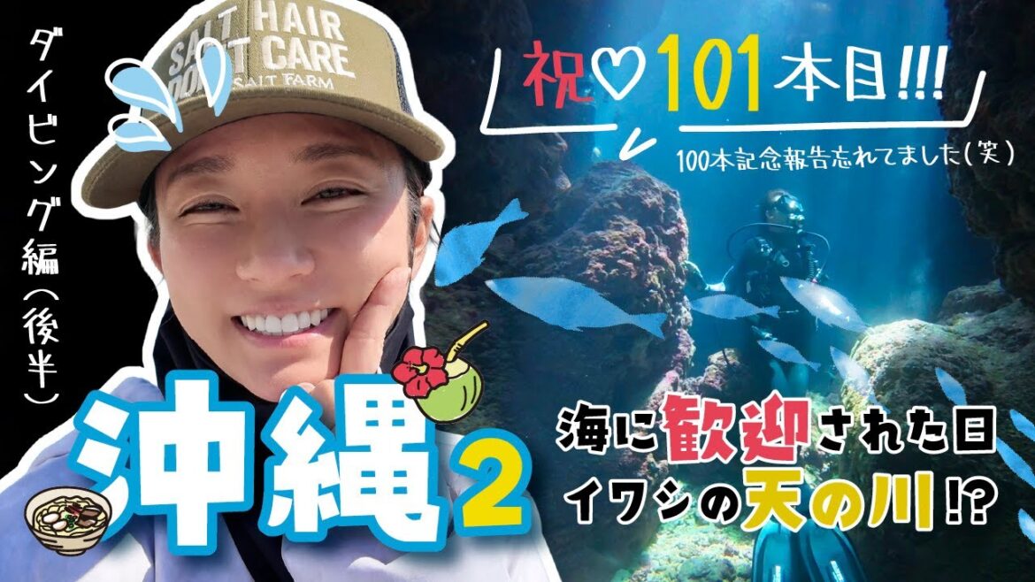 【沖縄】イワシと遊ぶ【動画投稿100本】