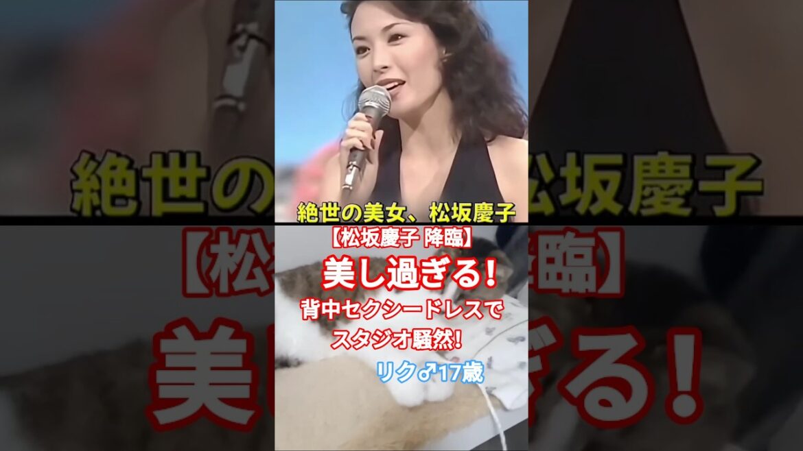 美しすぎた…松坂慶子の背中セクシードレス【夜のヒットスタジオ】 FIVEニャンズ🐾 #おすすめ #shorts