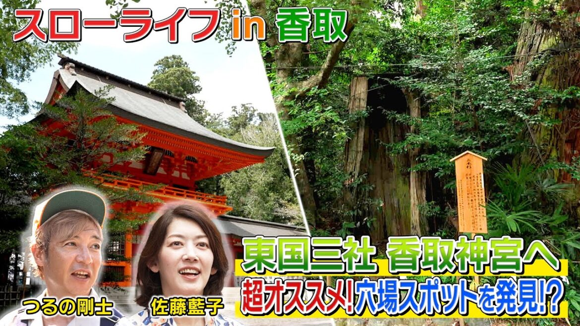 【アクティブスローライフのススメ#3 Part2】佐藤藍子in千葉県香取市#佐藤藍子 #スローライフ #千葉 #香取市 #つるの #つるの剛士 #香取神宮 #テレビ朝日 #テレ朝 #アクティブチョイス
