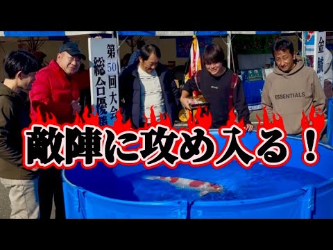 【遼河鯉庵】鯉業界の嫌われ者が大暴れ!!東海品評会でアンチ業者に突撃しまくってみた。