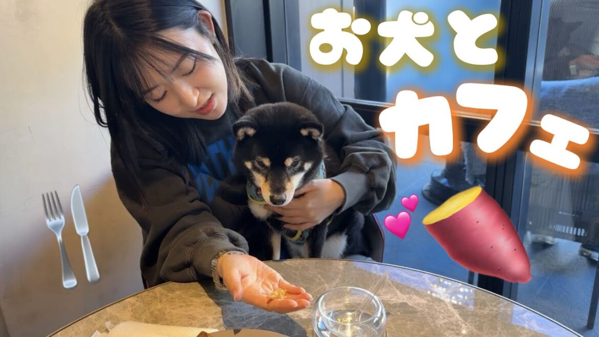 【49日目】初めて犬連れでカフェへ☕️【365日後に〇〇になる内田】