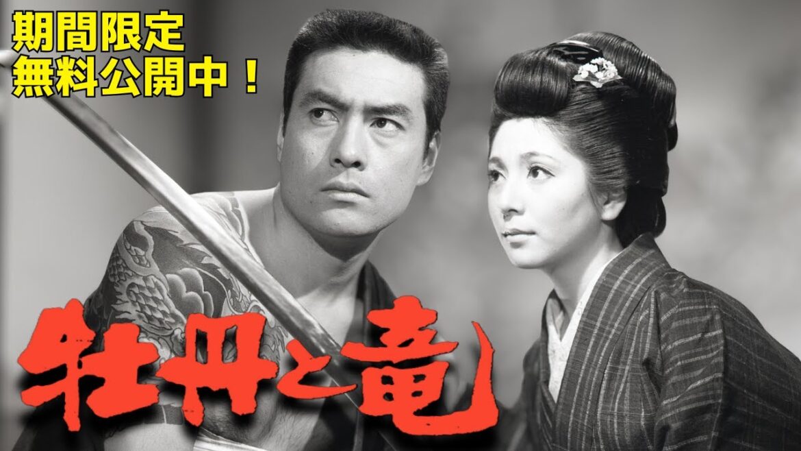 【<企画:水の江滝子>特集】高橋英樹×和泉雅子×小林旭「牡丹と竜」