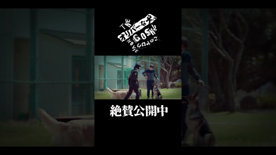 ハンドラーの鏡 #深津絵里 #オリバーな犬 #映画オリバーな犬 #Gosh監督