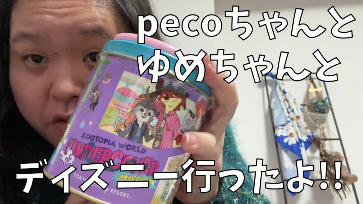 【タコベル ビッグベルボックス】タコベル食べながら楽しかったディズニーランドの思い出を話すよ!【ディズニー購入品紹介】