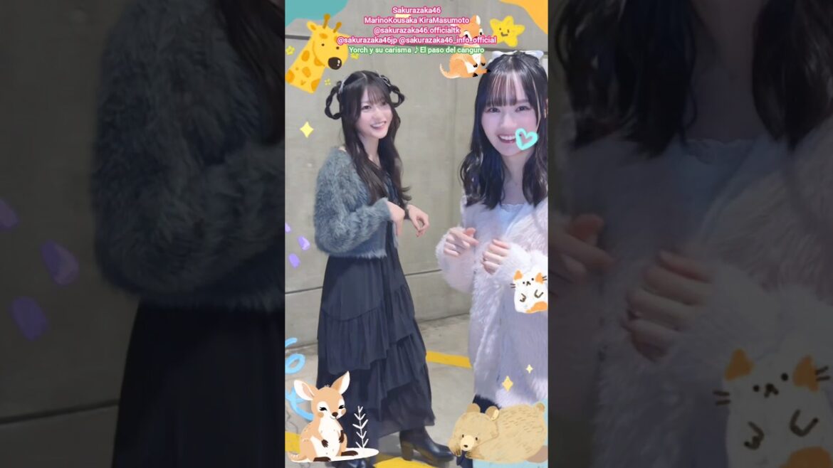 幸阪茉里乃 増本綺良 El paso del canguro♪Yorch y su carisma Sakurazaka46 Marino Kosaka Kira Masumoto TikTok