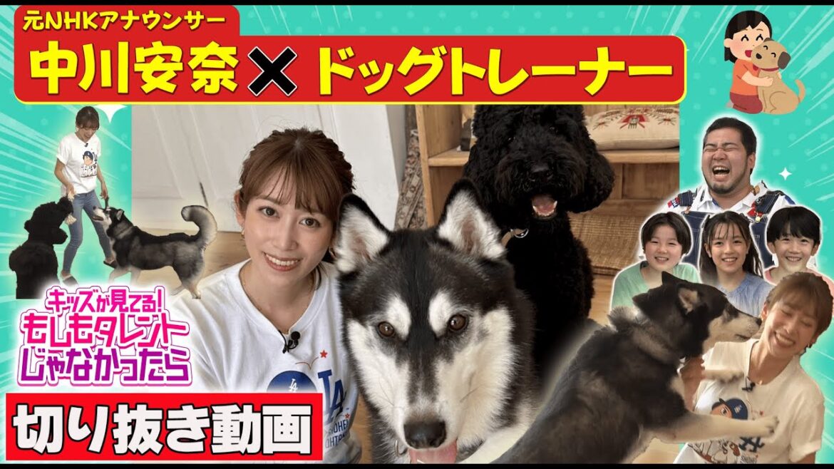 【元NHKアナ中川安奈×ドッグトレーナー!「フリー転身後初ロケでした!」】『キッズが見てる!もしもタレントじゃなかったら(もしタレ)』6月22日放送