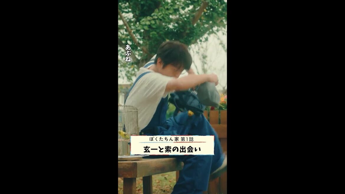 恋のはじまり💘 #及川光博 #手越祐也 #日曜ドラマ #ぼくたちん家 毎週日曜よる10時30分放送!#日テレ #shorts