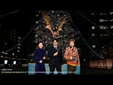松井玲奈、ライス関町に鋭いアドバイス(「ハリー・ポッターツリー」~Chosen by the Goblet~点灯式/平岡祐太 松井玲奈 関町知弘)