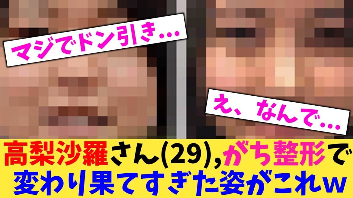 高梨沙羅さん(29),がち整形で変わり果てすぎた姿がこれw【2chまとめ】【2chスレ】【5chスレ】