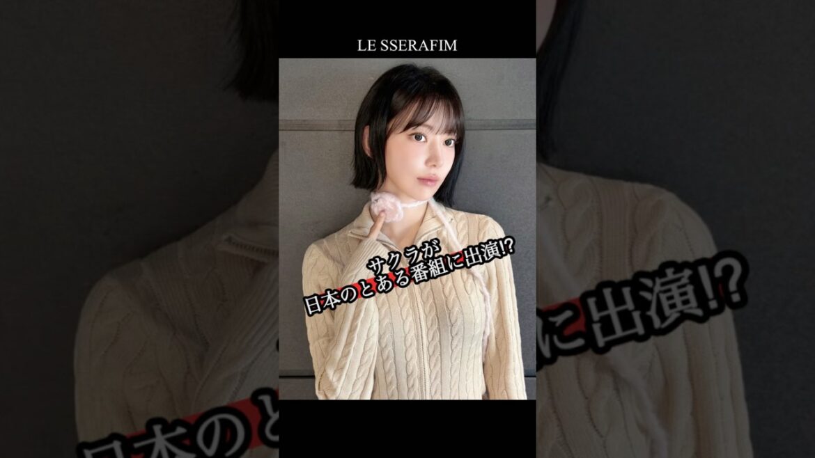 自身の趣味から番組出演に繋げるサクラ【LE SSERAFIM】 #lesserafim #ルセラフィム #宮脇咲良