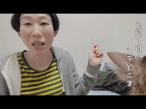 【43歳独身女芸人と猫】2月1日のステとごま #牧野ステテコ #芸人ハイブリットライブ #ウエストランド