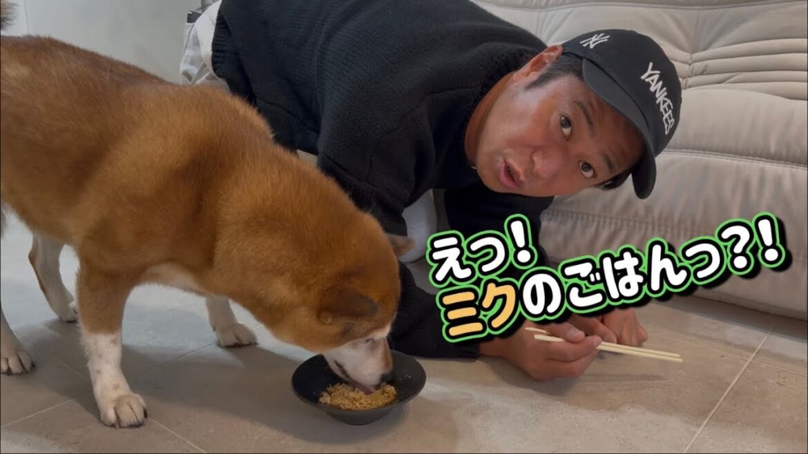 【ドッキリ】犬のごはんをパンサー尾形にあげてみた‼️