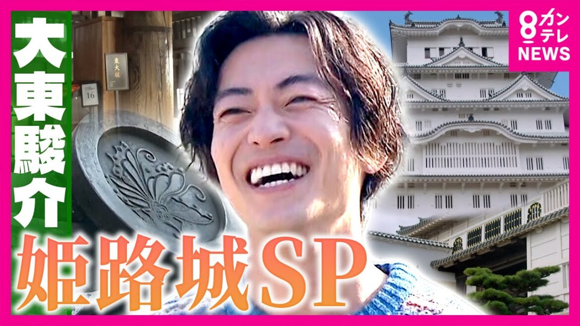 「完成させると滅びるだけ」姫路城“逆さの家紋”の秘密 戦火を逃れるため白い姫路城が黒に…400年の歴史を支えた奇跡|大東駿介の発見!てくてく学〈カンテレNEWS〉