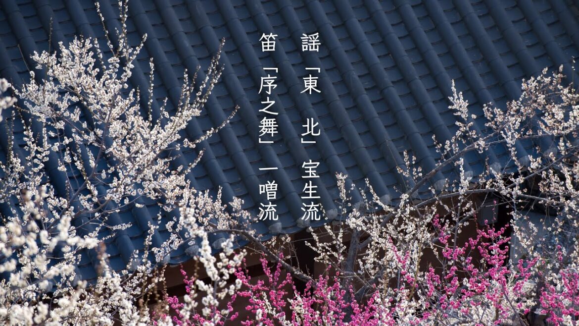 能楽 謡「東北」宝生流、笛「序之舞」一噌流【笛稽古歴 3年8ヶ月】
